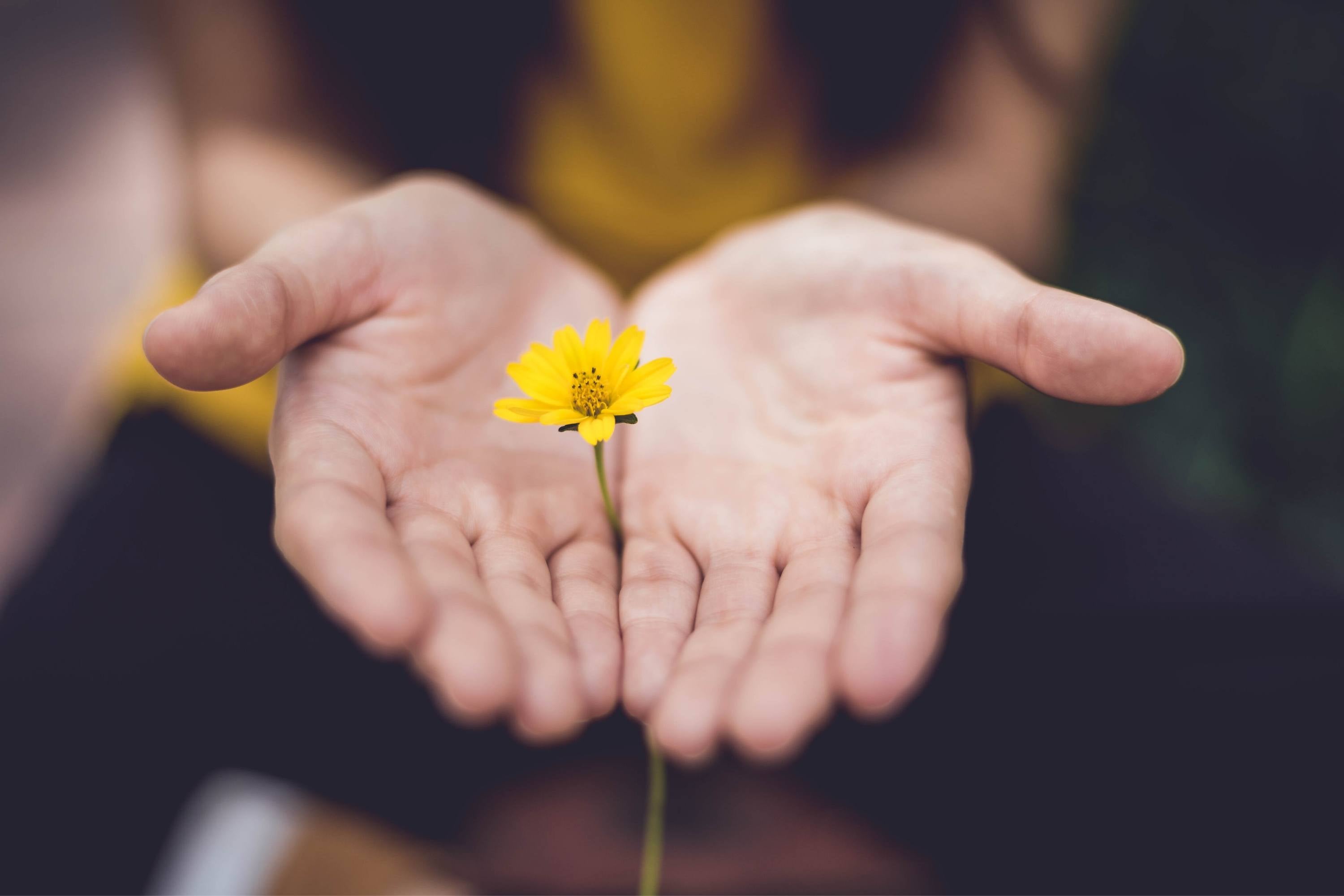 Equilibrez vos 7 chakras avec ces 7 mantras à haute fréquence vibratoire
