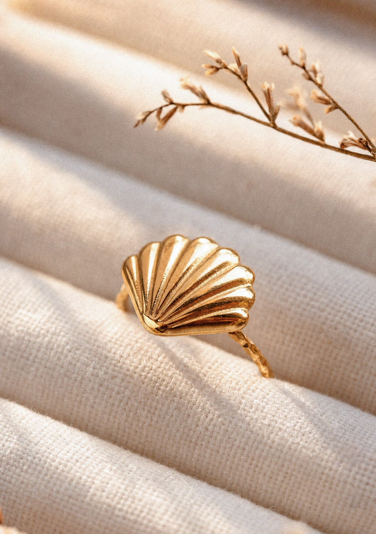 Bague Coquillage Les Jours Salés packshot, coquille dorée cannelée en éventail sur anneau martelé, sur textile crème avec branche séchée – acier inoxydable doré Namaka collection Solaire
