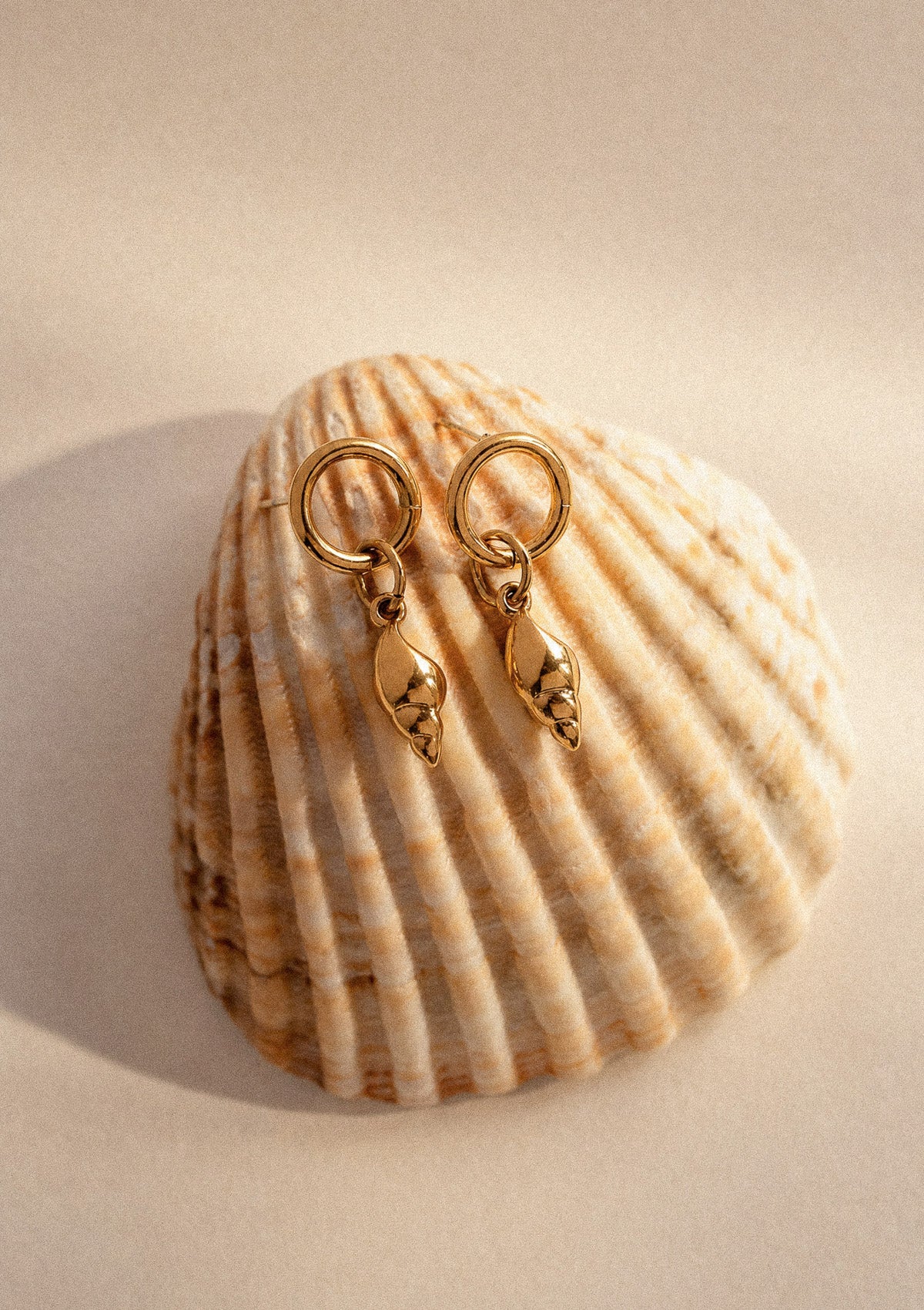 Zoom sur les boucles d'oreilles coquillage Sel d'or acier inoxydable doré posées sur un coquillage nacré – Namaka collection Solaire, assemblées en France