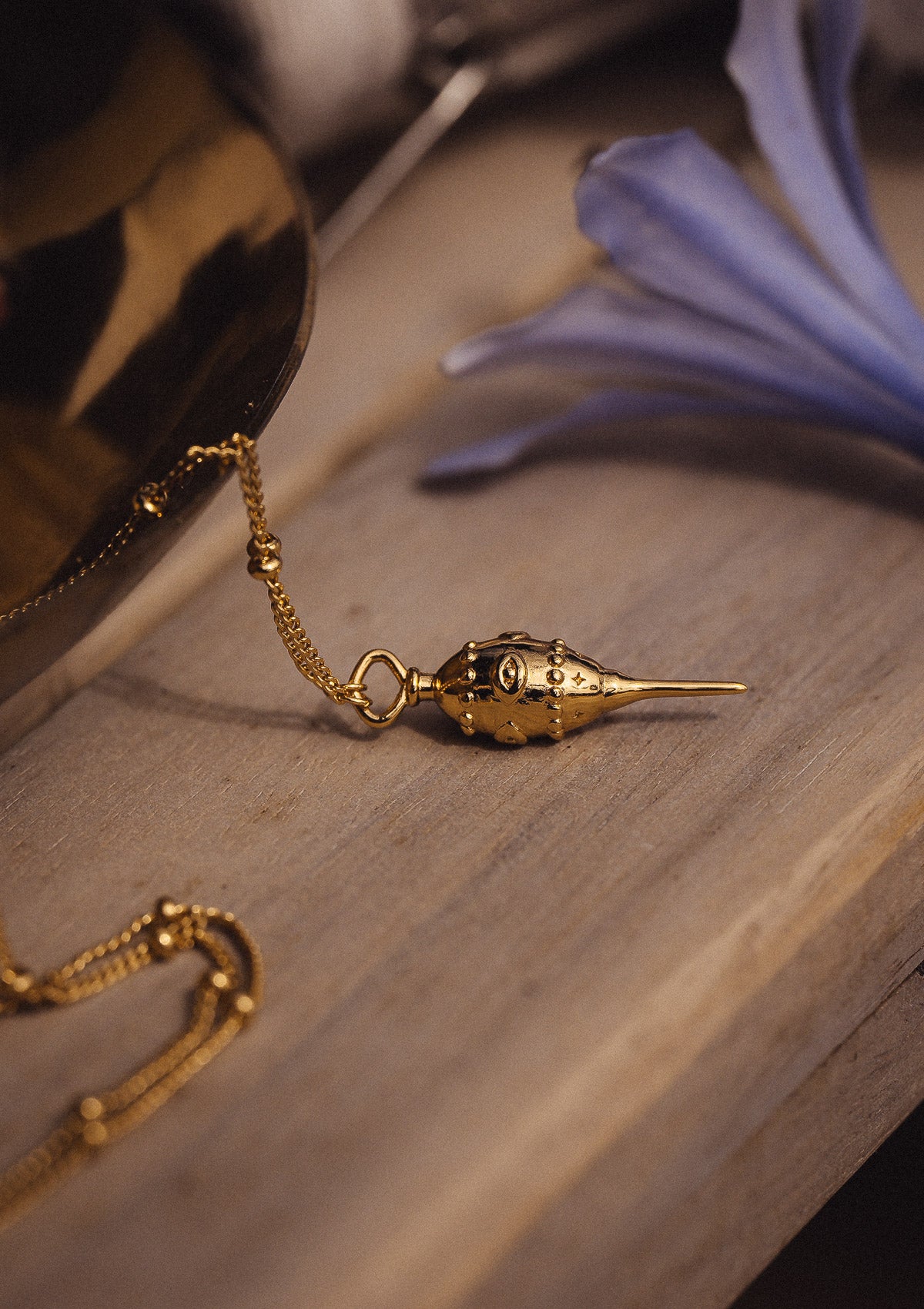 Collier Pendule - Guidance Intérieure