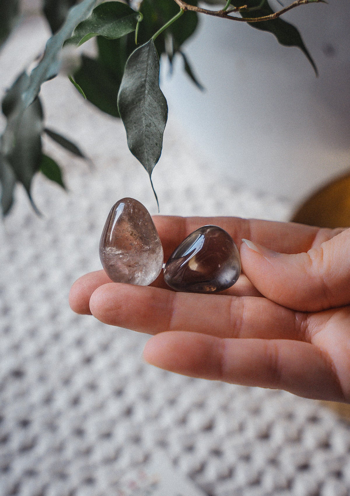 Quartz Fumé - Cristal d’Ancrage et de Clarté