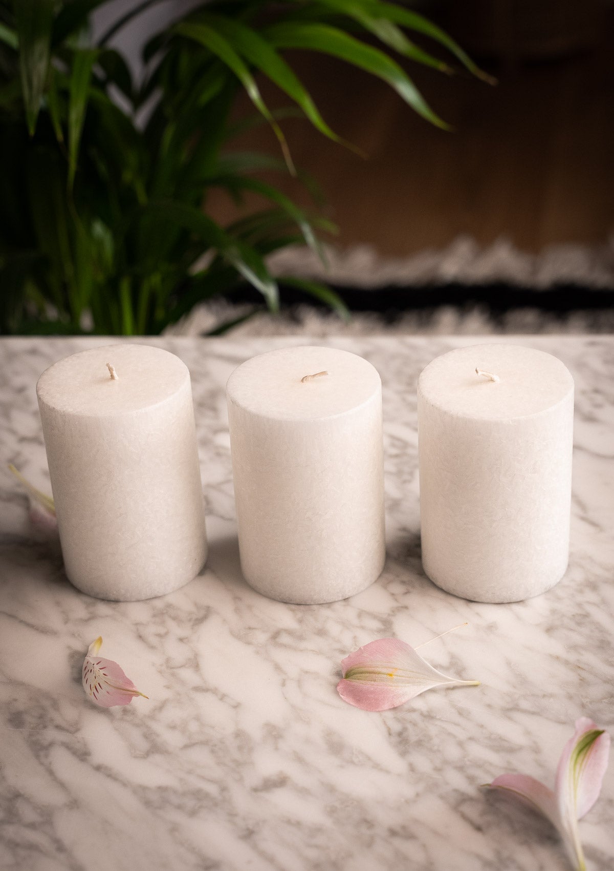 Bougies blanches Colonnes en Cire de Palme Durable