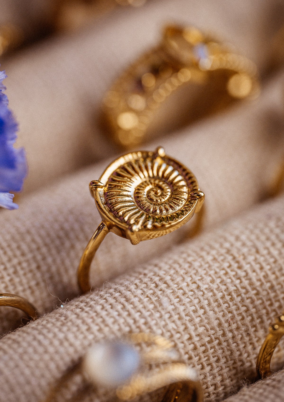 Bague Coquillage en Spirale – Danse Primordiale