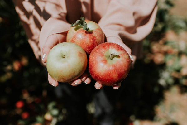 Sabbat de Mabon : Histoire, Symboles et 6 Rituels d'Automne