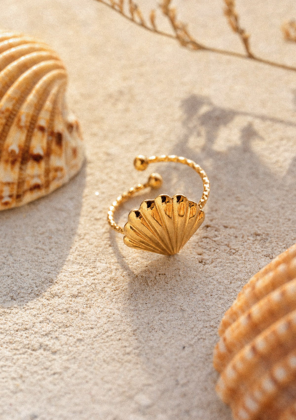 Bague Coquillage Les Jours Salés en ambiance sur sable au bord de la plage, encadrée de coquillages naturels striés – acier inoxydable doré Namaka collection Solaire
