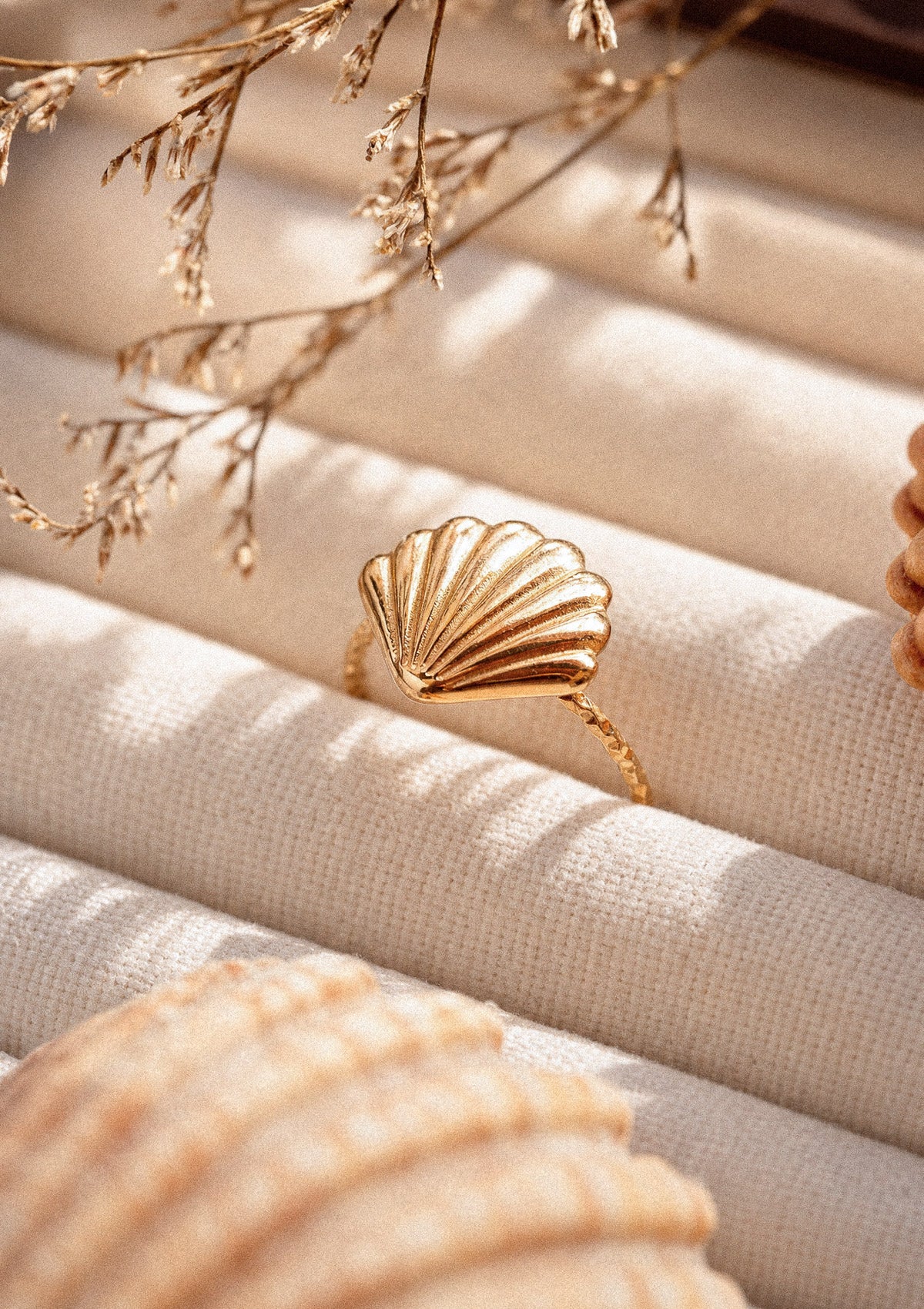 Bague Coquillage Les Jours Salés sur textile crème plissé, coquille dorée cannelée en lumière solaire avec branches séchées et coquillage – acier inoxydable doré Namaka collection Solaire