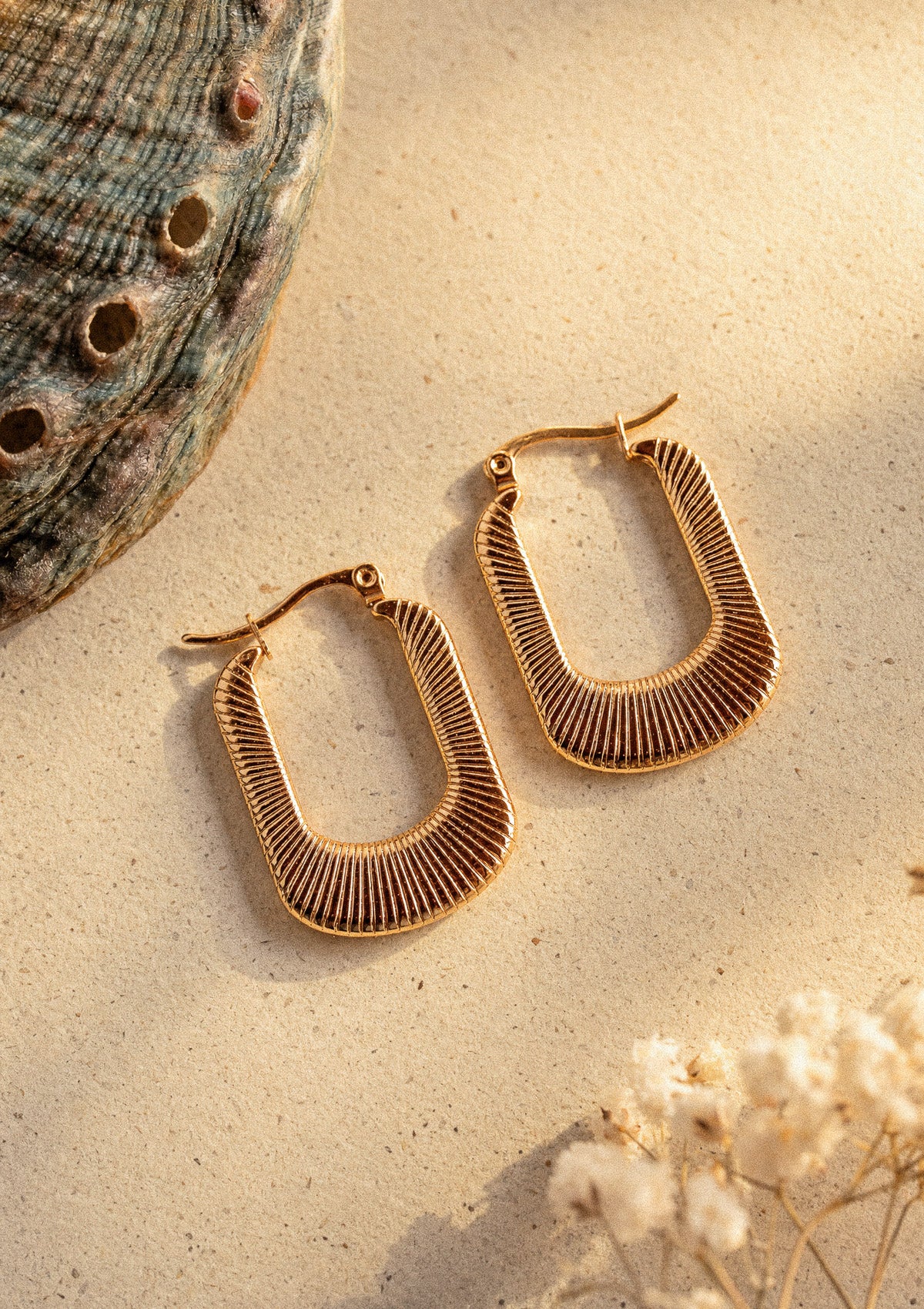 Créoles rectangulaires dorées Jours Dorés à stries rayonnantes, packshot sur sable beige avec coquillage ormeau et gypsophile séché – acier inoxydable doré Namaka collection Solaire