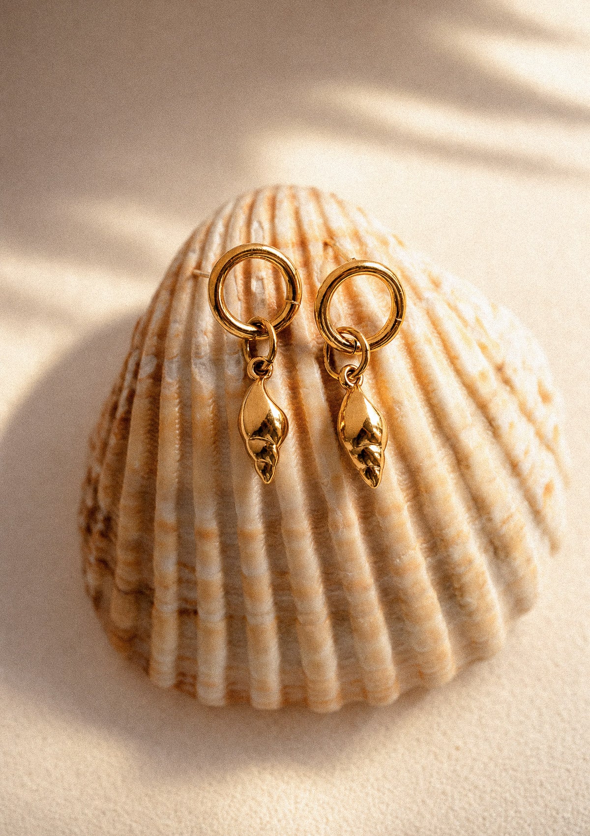 Boucles d'oreilles créoles coquillage Sel d'or en acier inoxydable doré, posées sur un vrai coquillage sous une ombre de palmier – Namaka collection Solaire, assemblées en France